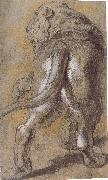 Peter Paul Rubens Lion painting